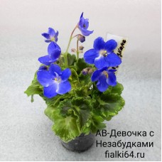 АВ-Девочка с Незабудками